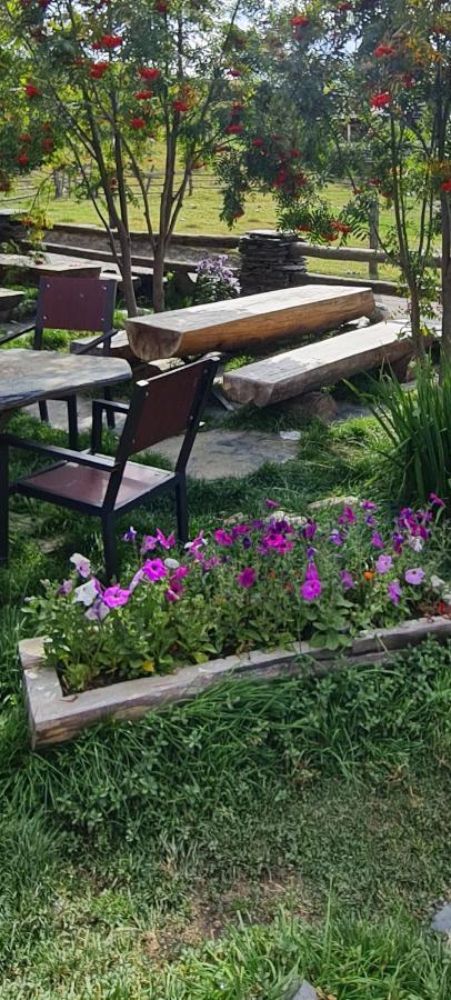 Guest House Shina Omalo Exterior foto
